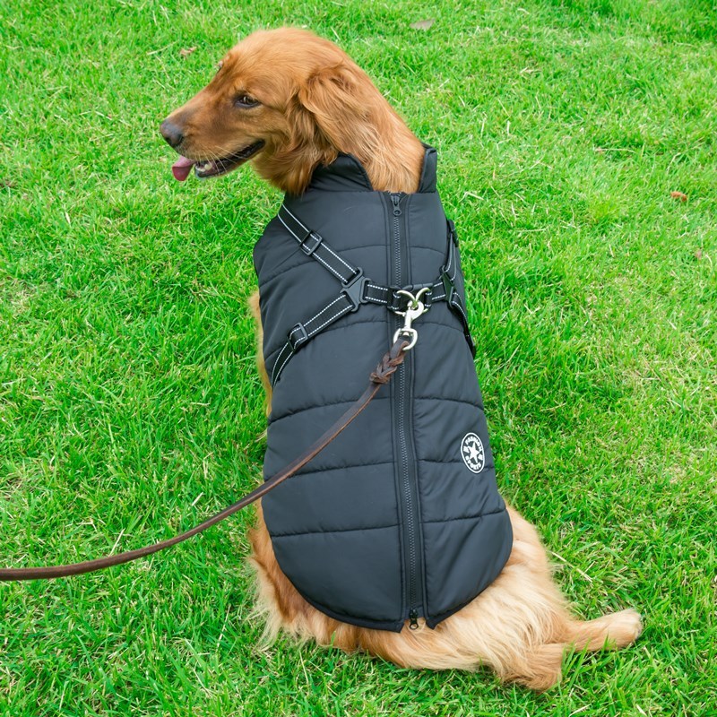 Dog Winter Vest