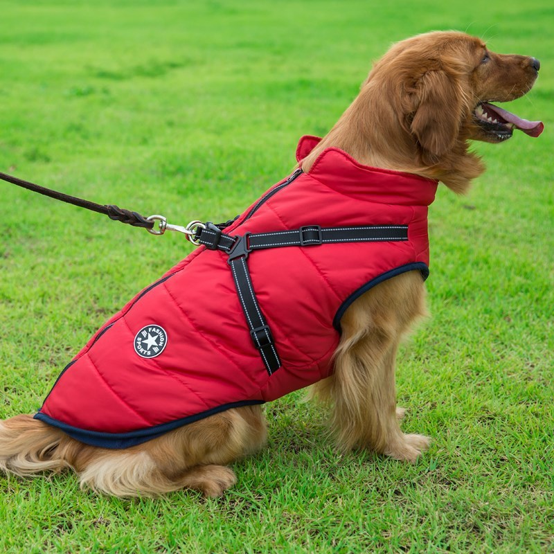 Dog Winter Vest