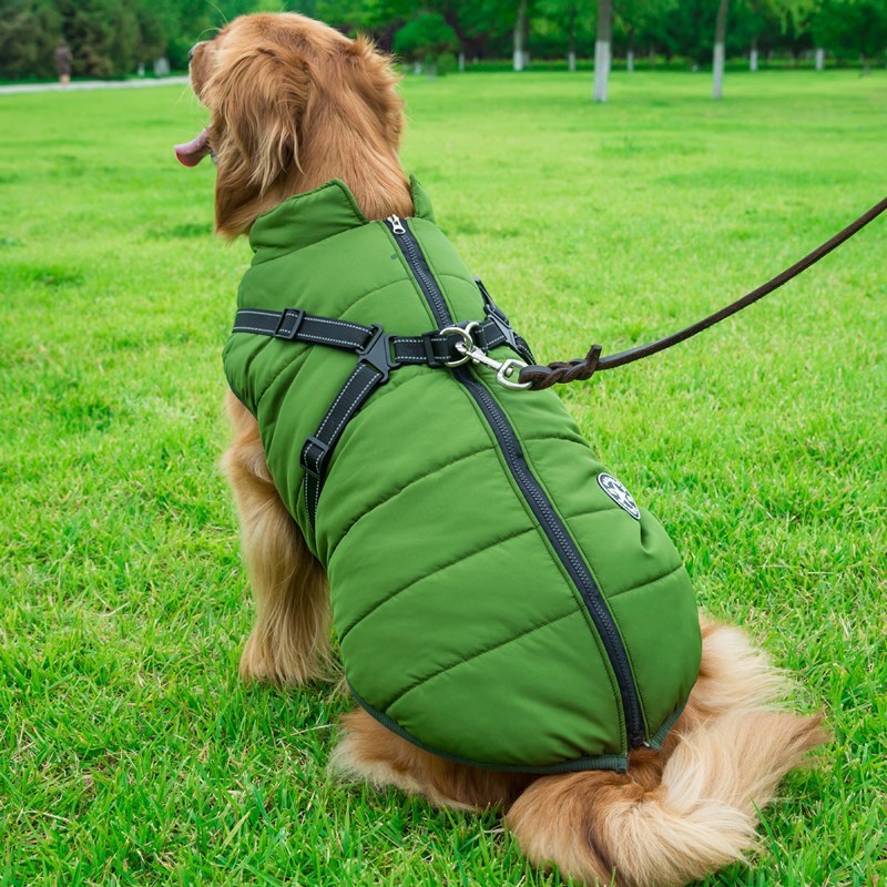 Dog Winter Vest