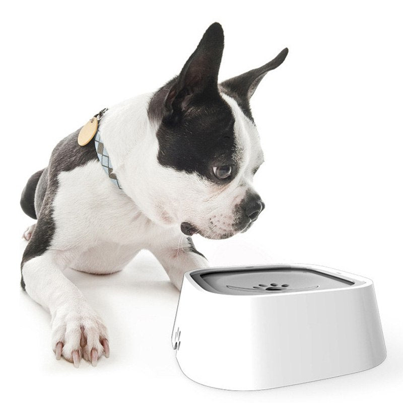 Pet Feeding Bowl Not Wetting Mouth